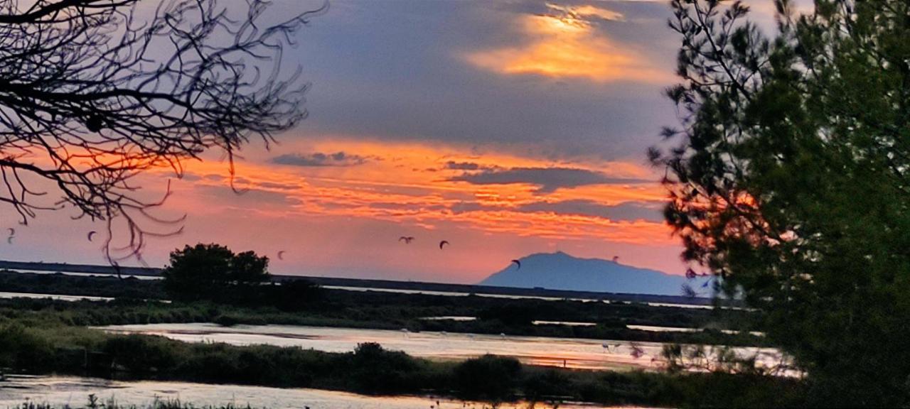 Suite Avec Tropezienne Vue Mer Hyeres Ngoại thất bức ảnh